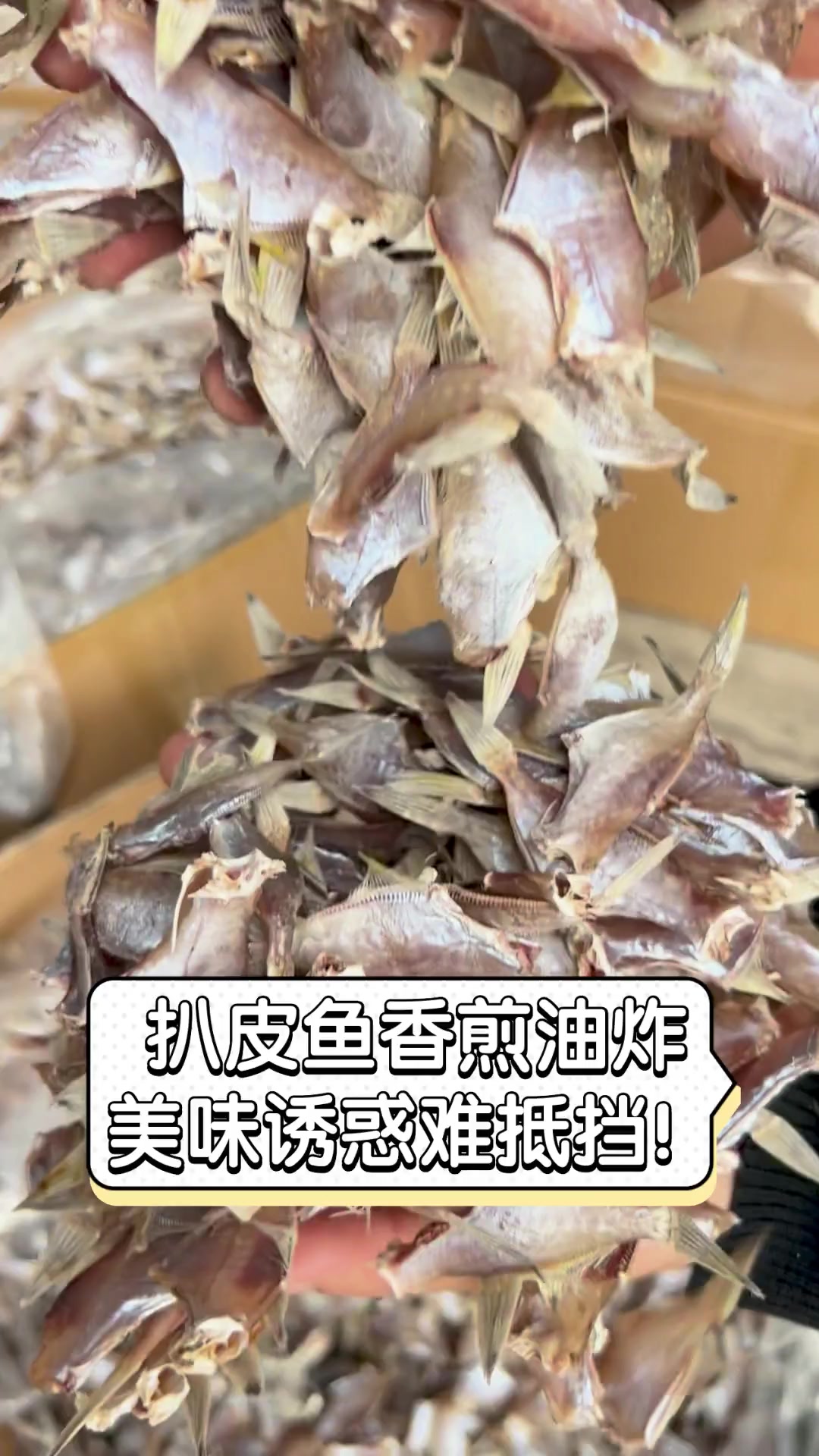 扒皮鱼香煎油炸,美味诱惑难抵挡!