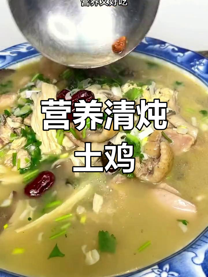 清炖土鸡,营养美味汤汁鲜香