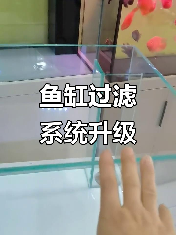 鱼缸底滤改造全流程,打造完美水族环境