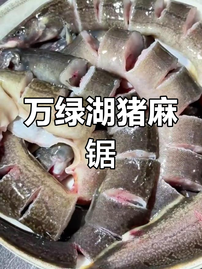 这条鱼鲜美至极,老板们都认不出