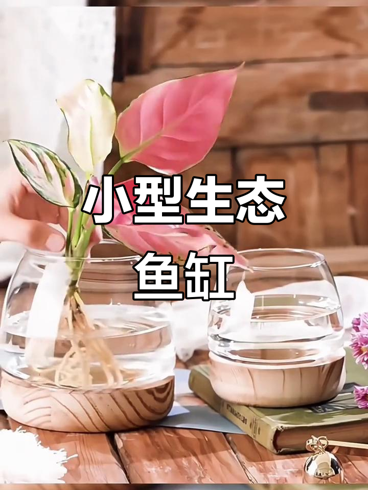 圆形玻璃鱼缸,适合桌面摆放,小金鱼悠闲游动