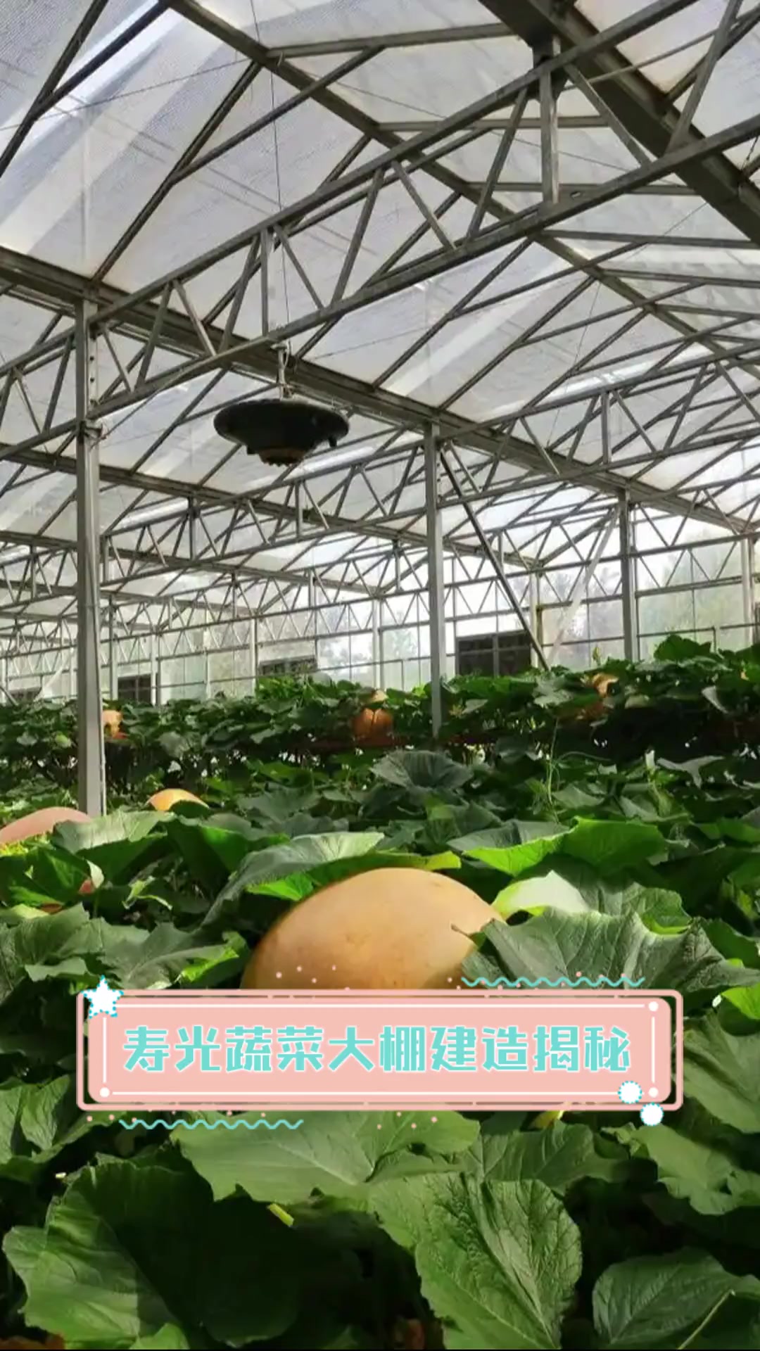 寿光蔬菜大棚建造揭秘