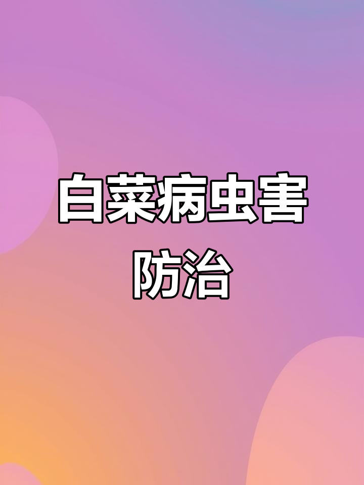 白菜常见病害全解析:如何防治双霉病、白锈病等