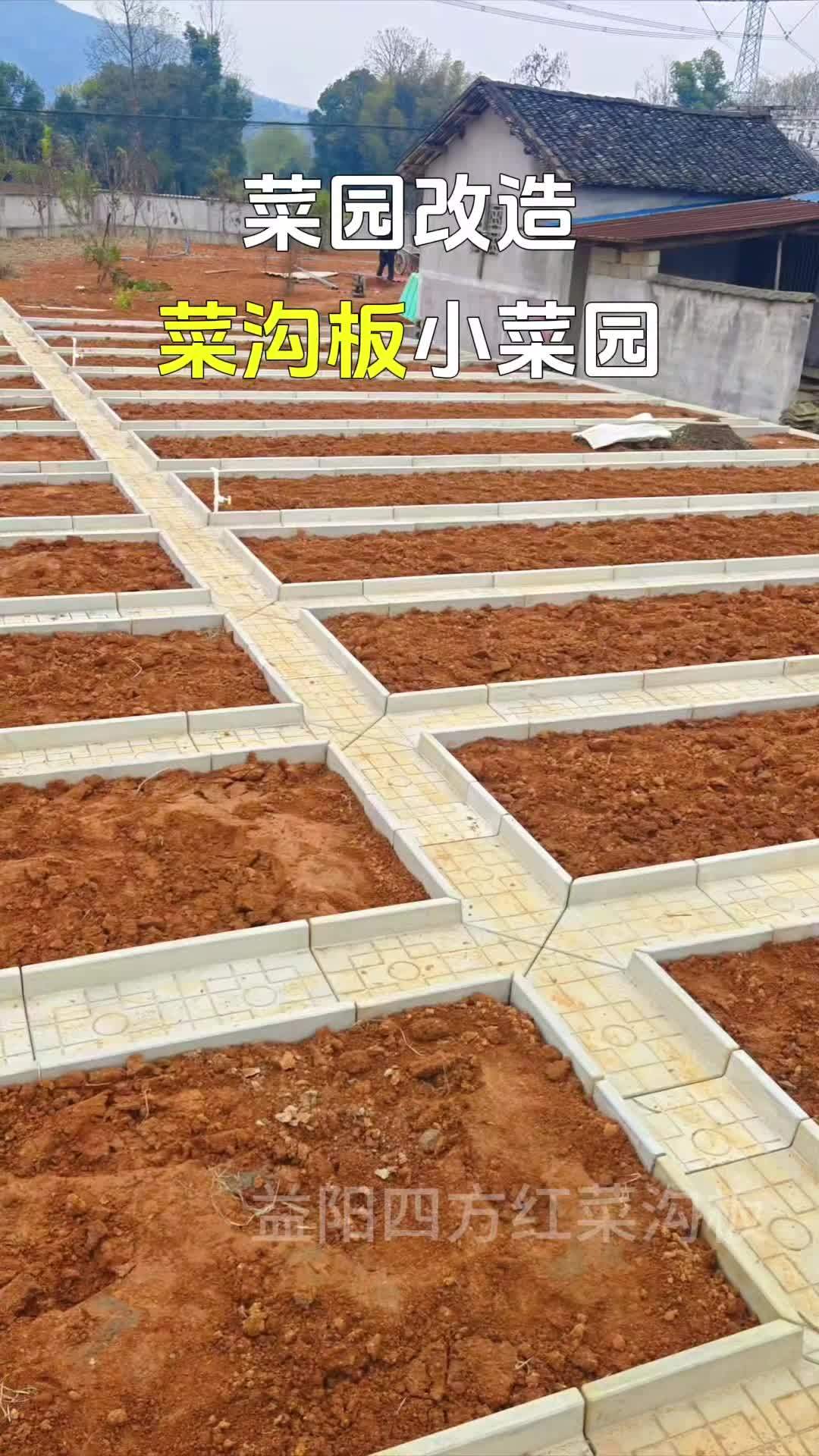 种菜 我的田园生活 院子改造 菜沟板 农村菜园设计