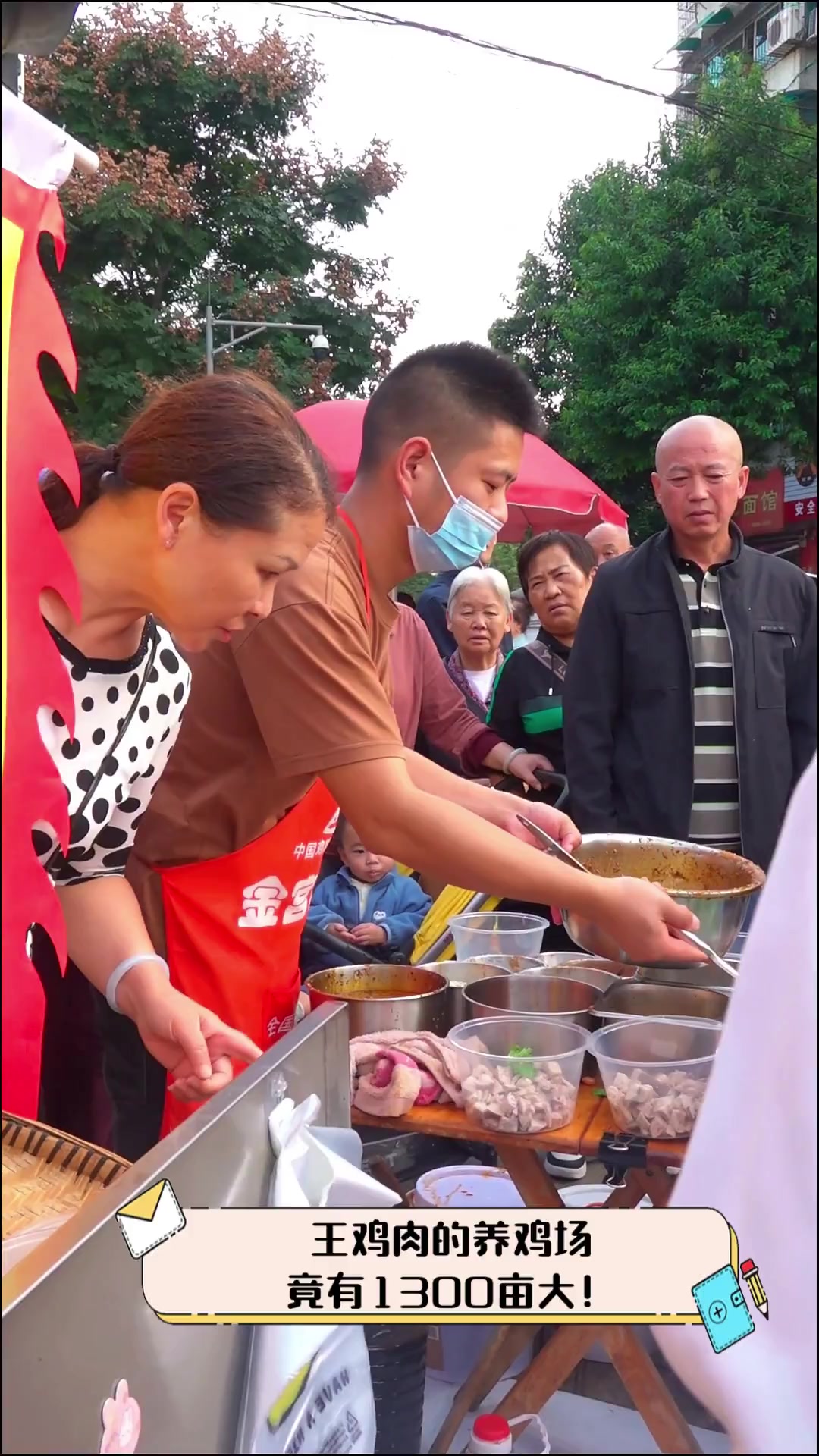 王鸡肉的养鸡场,竟有1300亩大!