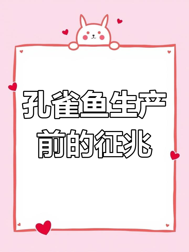 孔雀鱼待产前兆与注意事项,如何避免难产