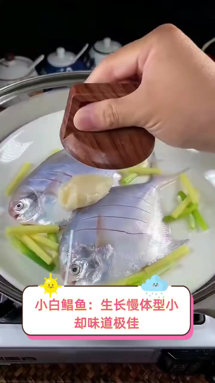 小白鲳鱼:生长慢体型小,却味道极佳