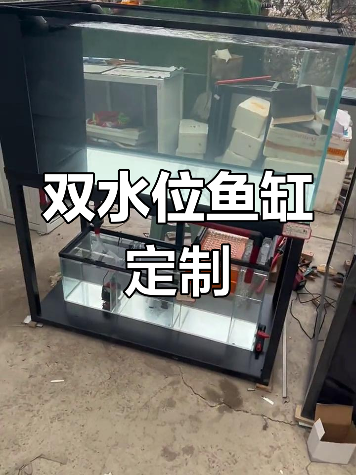双水位侧翼流鱼缸定制,溢流板设计巧妙