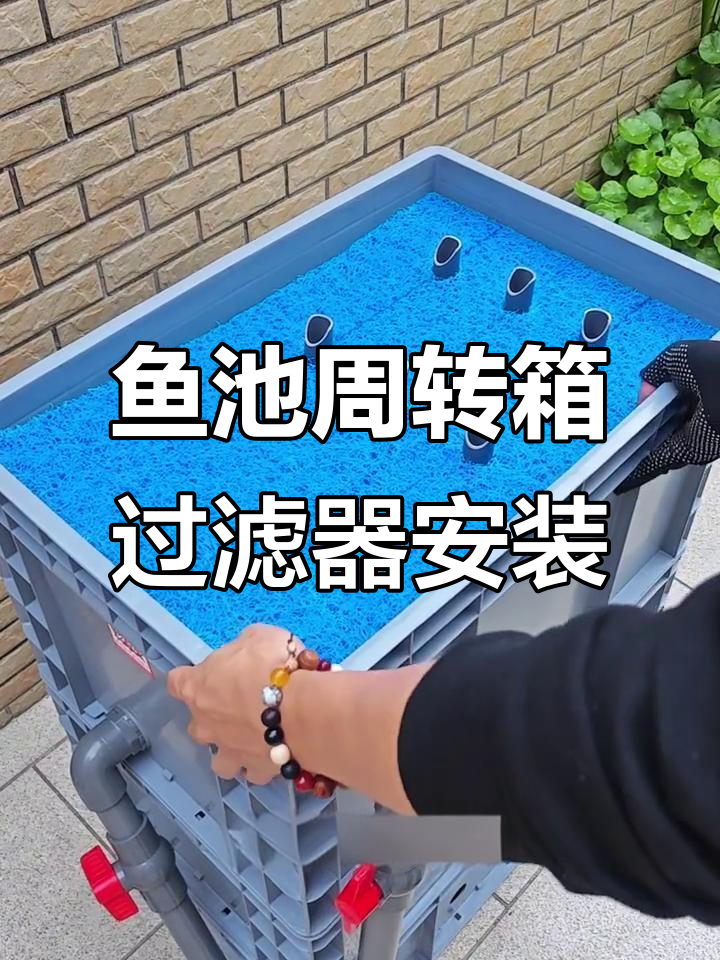 鱼池过滤系统安装全攻略：从排污口到进水口的详细步骤