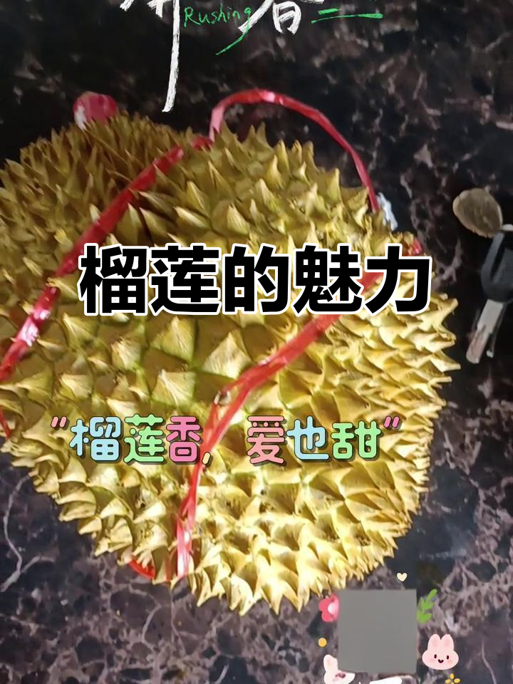 看到榴莲照片,忍不住想尝一口!外表独特,内心温暖