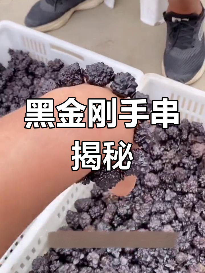 埃及黑金刚手串,沙漠捡来的宝贝,价格惊人!