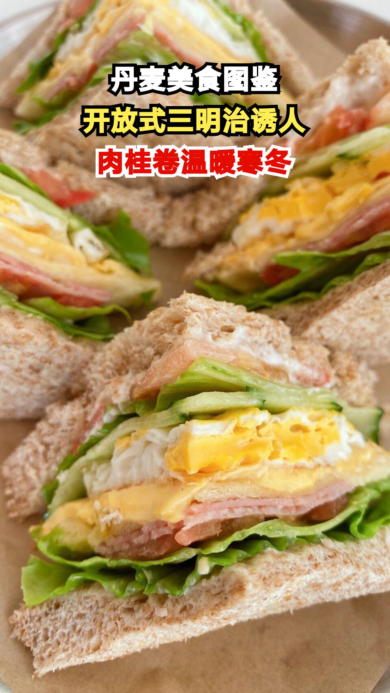 哥本哈根街头美食探秘:从国民三明治到百年热狗,哪款让你心动?