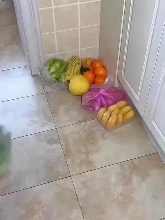 买回来的瓜果蔬菜不要放在地上了,放在这个 果蔬置物架 拿取方便,也不影响打扫卫生,非常实用