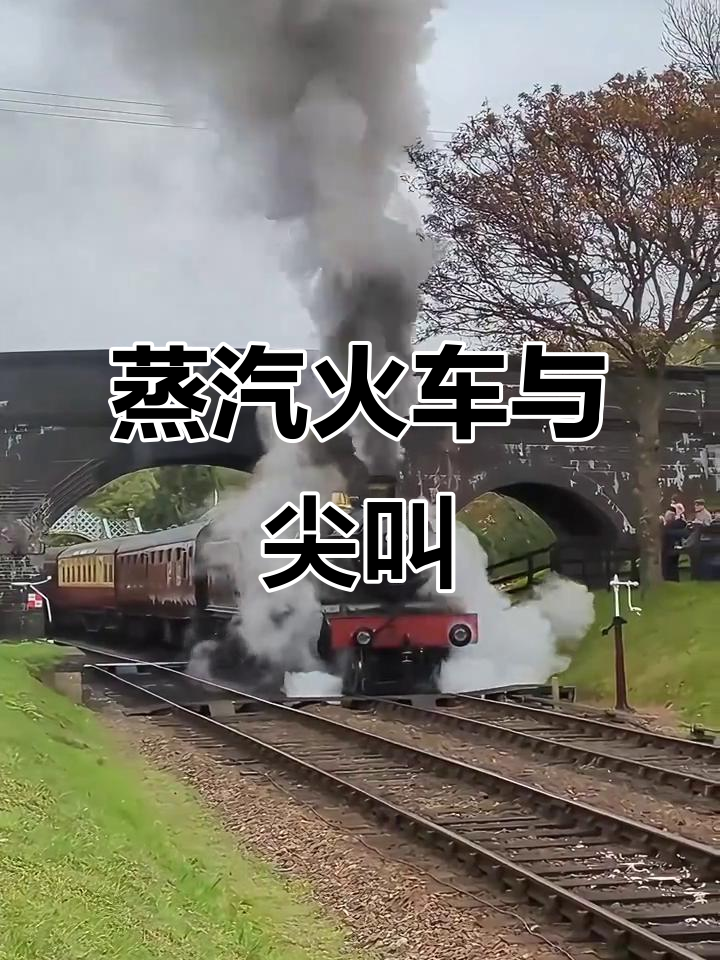 蒸汽火车鸣笛,孩子们的尖叫声响彻天际