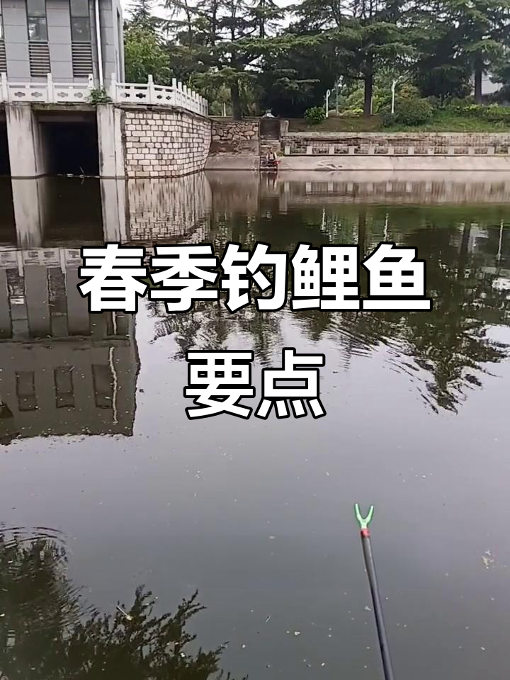 春末夏初钓鲤鱼技巧,选对天气和钓位事半功倍