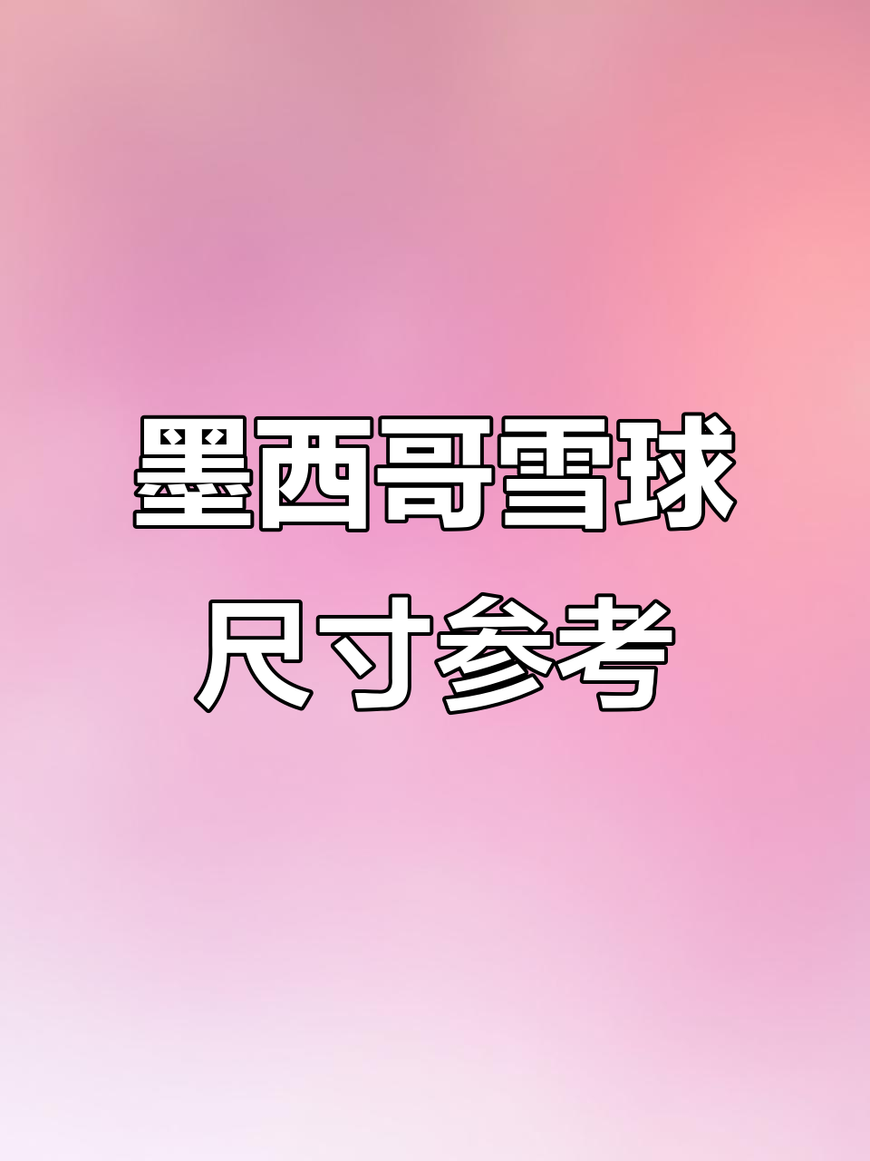 墨西哥雪球盆口径与冠幅对比,选对尺寸更合适