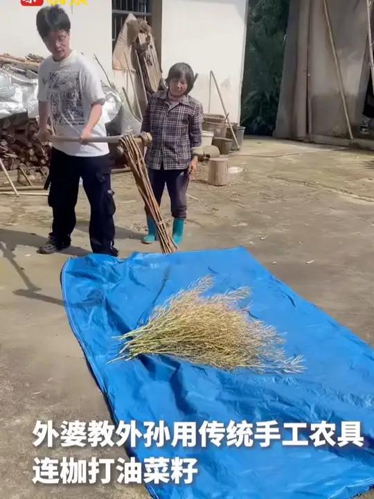 你见过打油菜籽吗？外婆手把手教外孙，用传统手工农具连枷打油菜籽。这一起一落的动作里，藏着农
