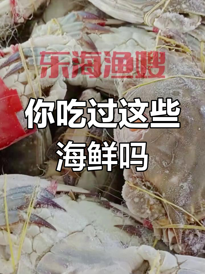 常见海鲜种类大盘点