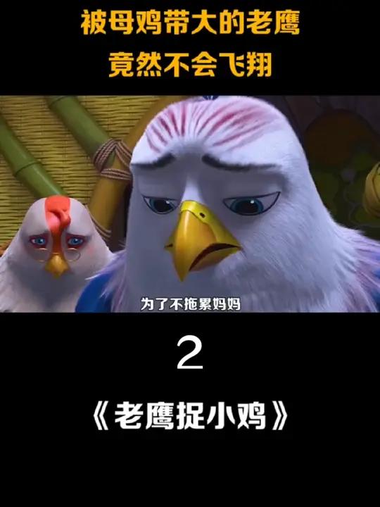 第2集|离开咕咕村,进入城市找寻自己的身世 老鹰抓小鸡 老鹰捉小鸡童年的回忆 动物动画