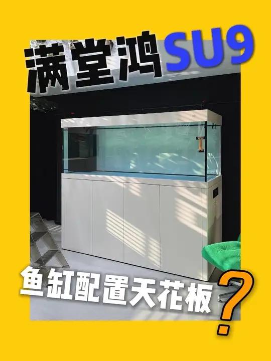 鱼缸配置天花板，满堂鸿su9系列 #满堂鸿鱼缸 #满堂鸿su9 #鱼缸定制 #上门开缸 #