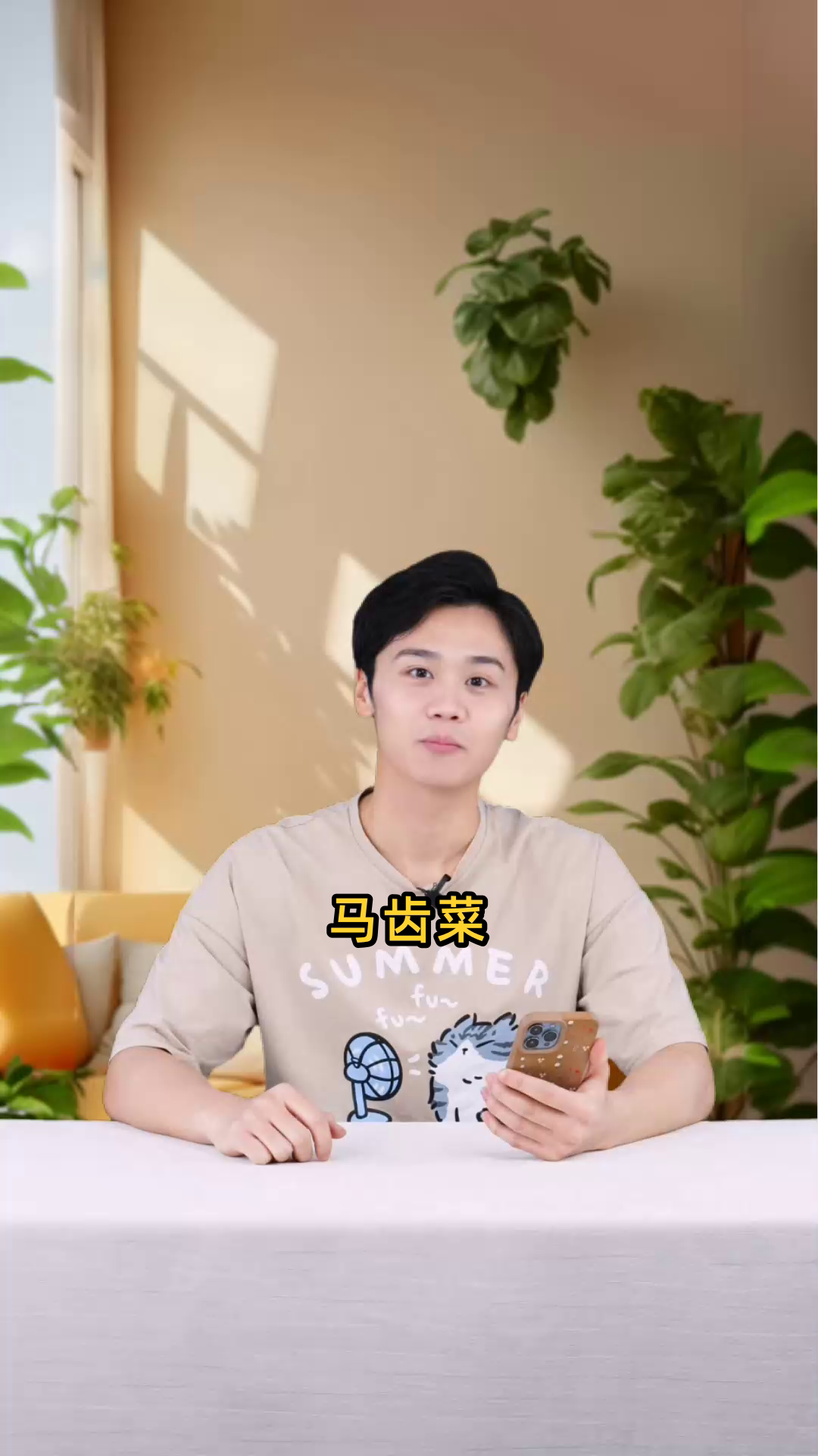 马齿菜具有清热解毒、凉血止血、降血压、调节血糖、美容养颜等多重功效