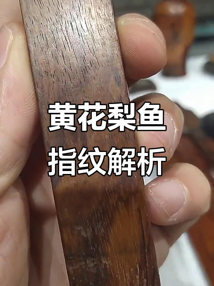 黄花梨的鱼指纹与纹理特征,如何辨别真假