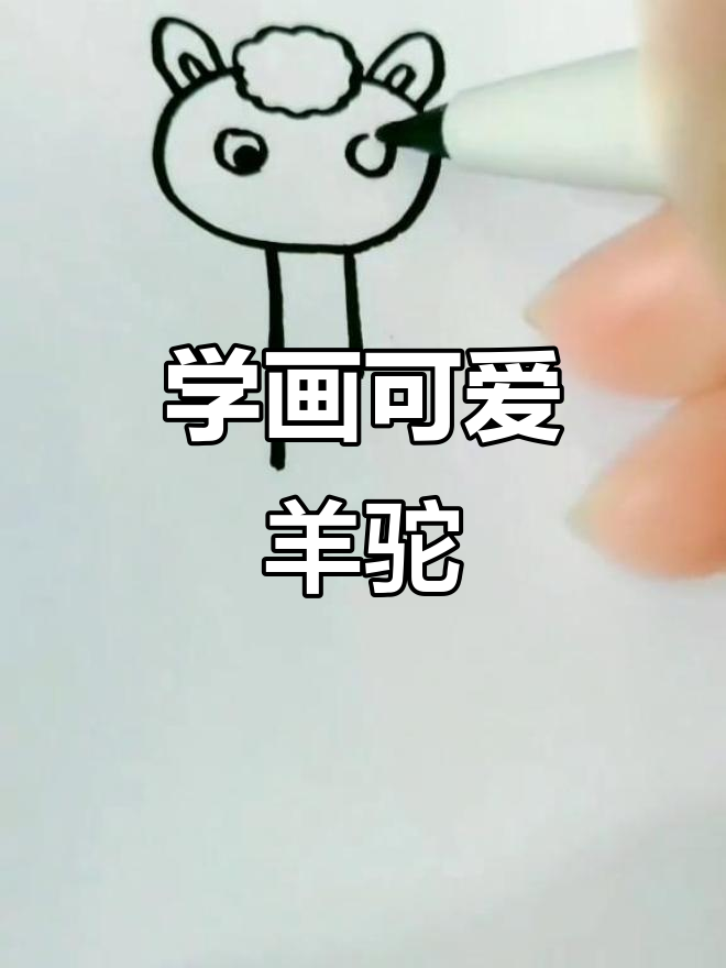 羊驼简笔画,带你一起画卡通小动物