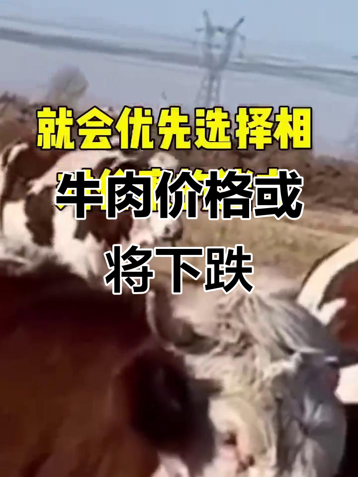2023年疫情后消费降级,牛肉市场新挑战