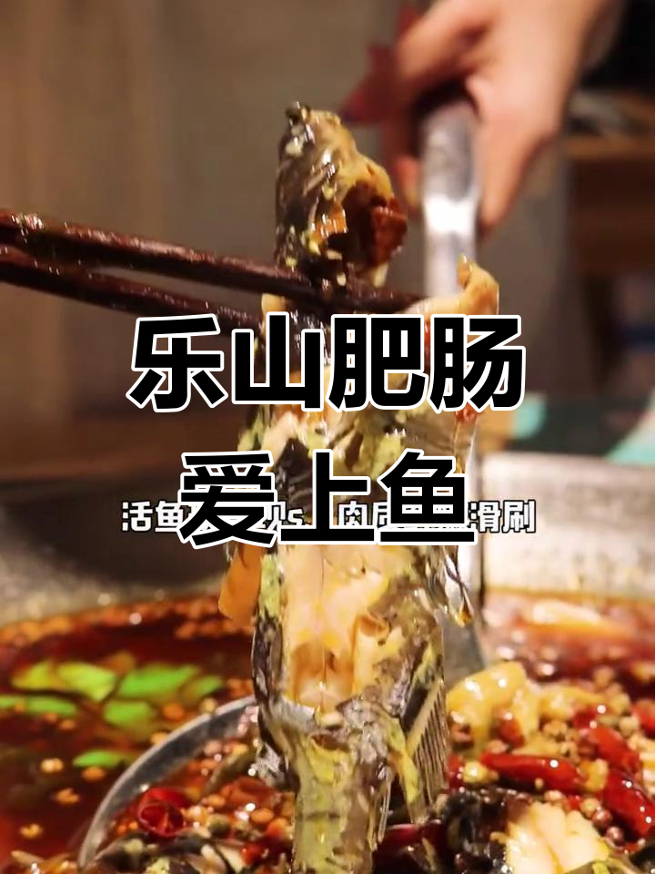 乐山新晋肥肠鱼火锅,成都风味来袭!