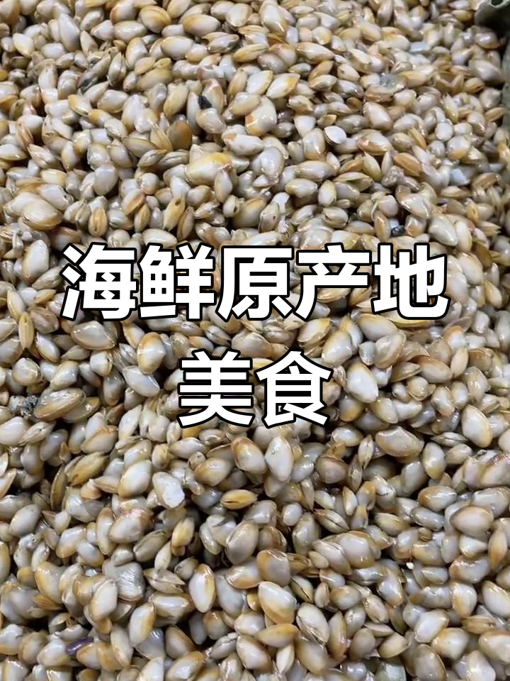 沙蛤做汤鲜美无比,面条疙瘩更美味