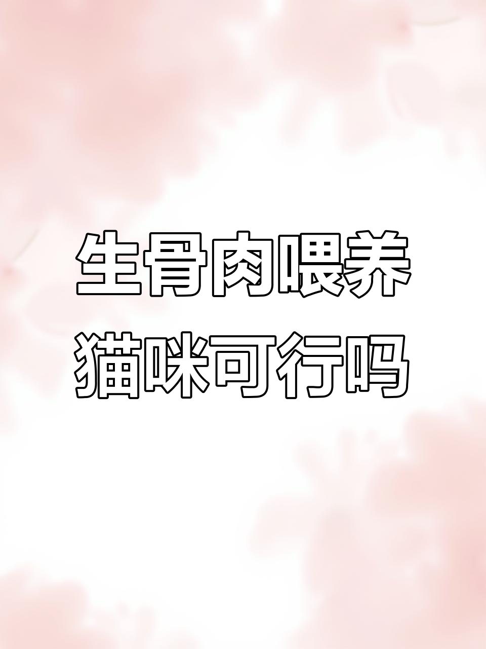 猫吃生骨肉到底行不行?营养流失问题解析