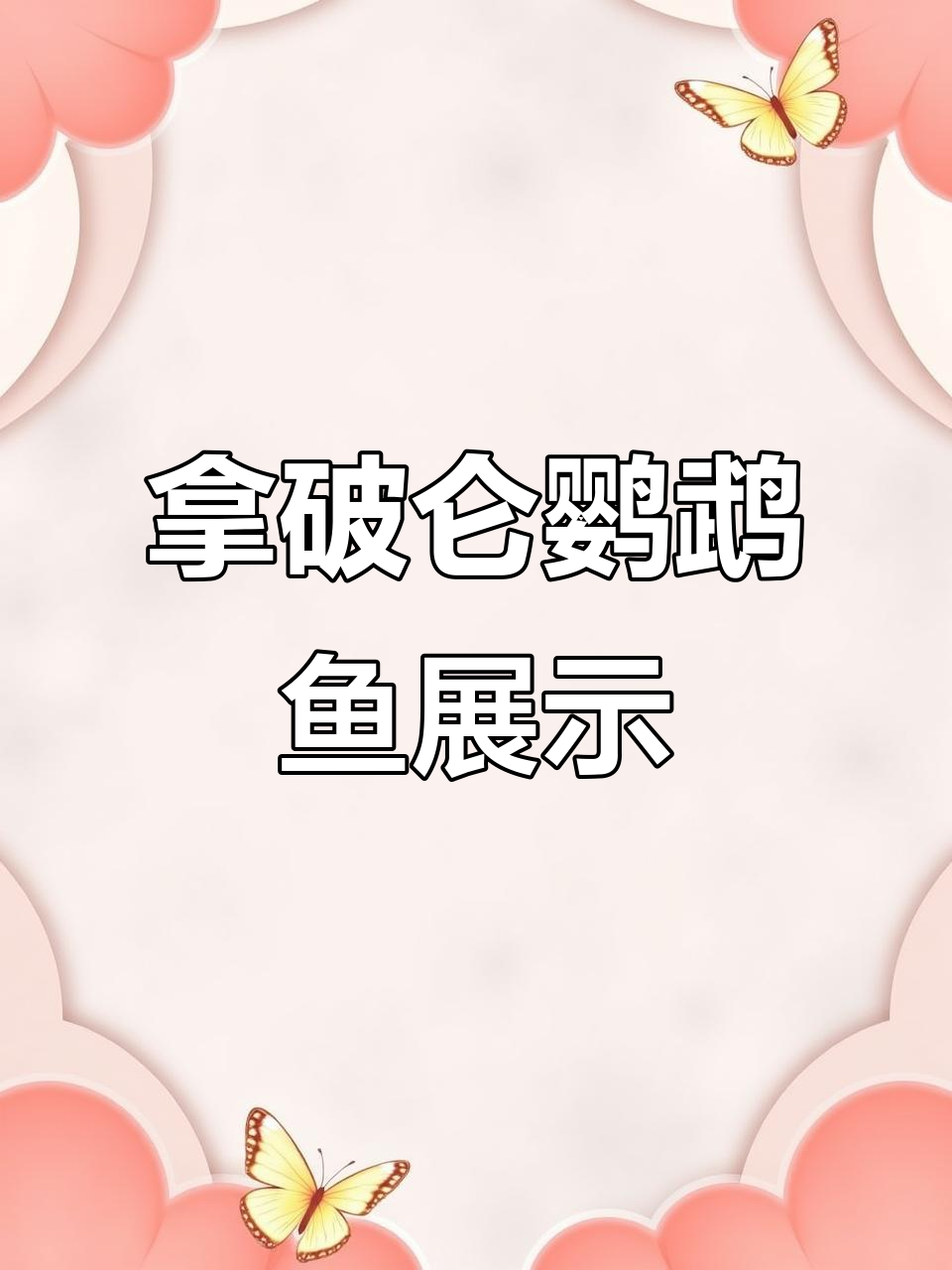 拿破仑鹦鹉鱼与北斗神仙鱼的美丽对比,尺寸从三十到二十三厘米