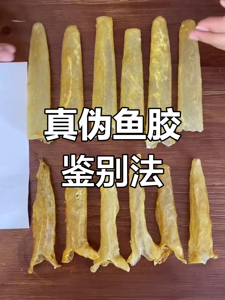 如何辨别真假鱼胶?三招轻松学会