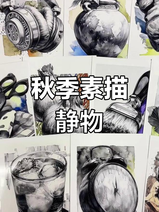 秋季素描静物单体临摹素材,A5尺寸32张
