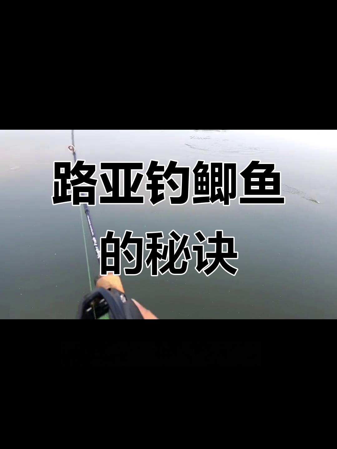 鲫鱼路亚钓技巧大揭秘,如何用背银钩轻松捕捉