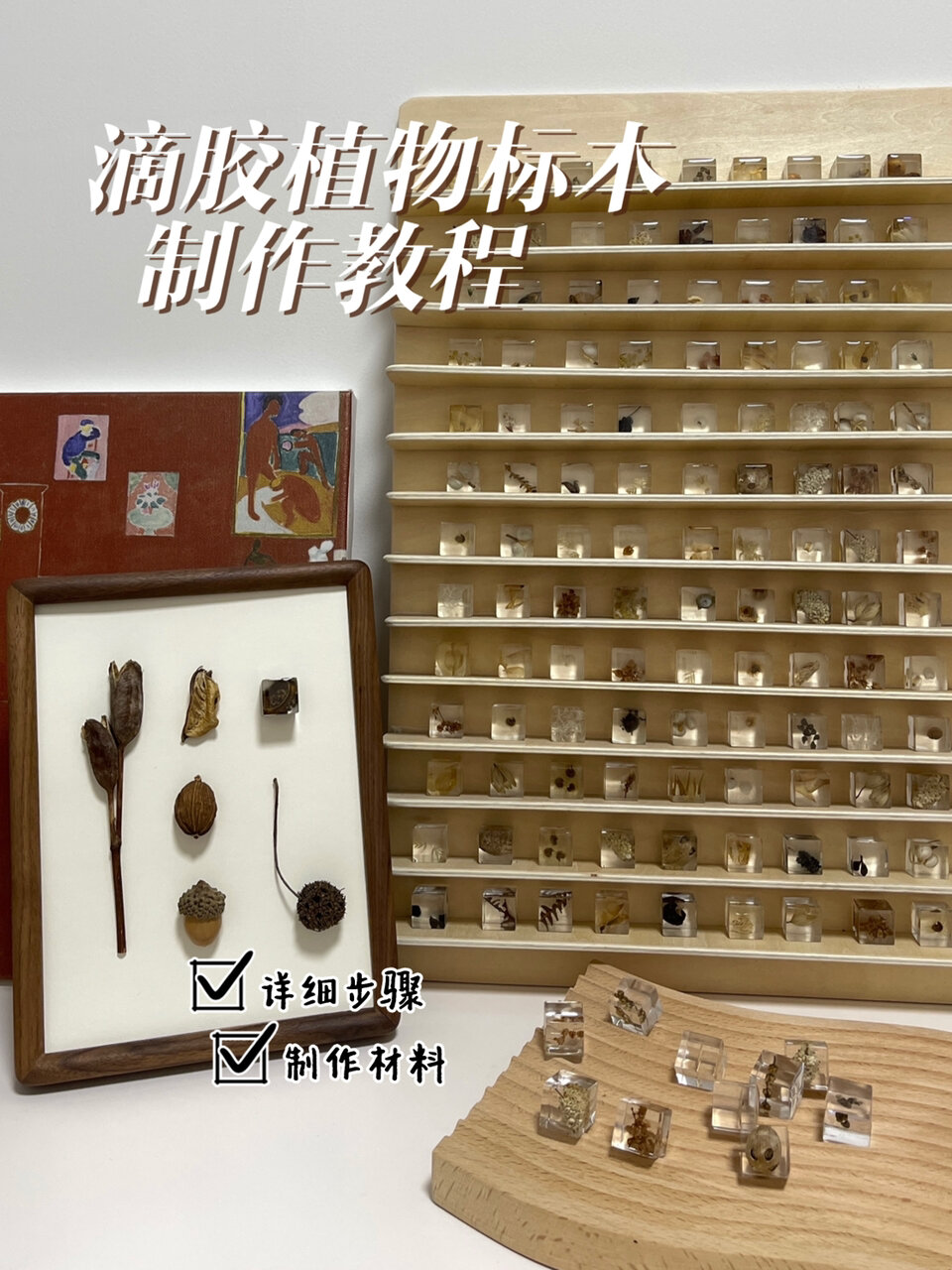  翔实教程来啦|滴胶植物标本制作分享