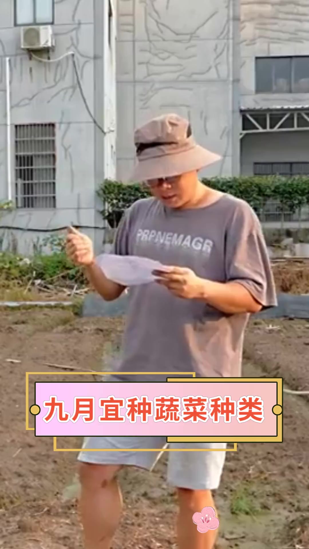九月宜种蔬菜种类
