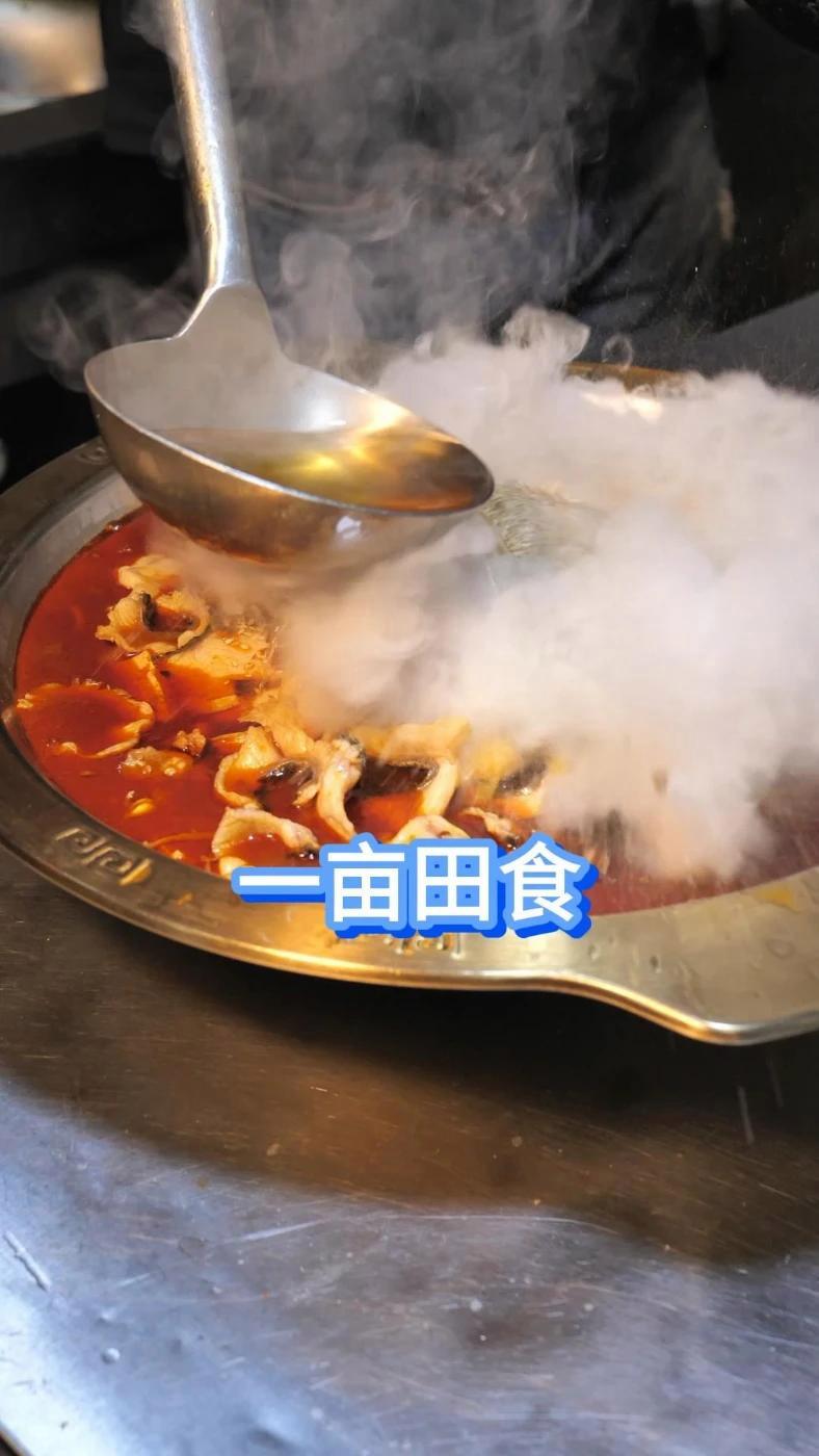 超好吃的一亩田食鱼火锅,推荐!抖音美食推荐官 炝锅鱼 鱼火锅