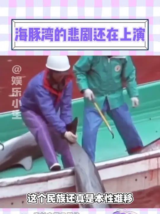 原来周星驰的美人鱼用的就是日本虐杀海豚画面