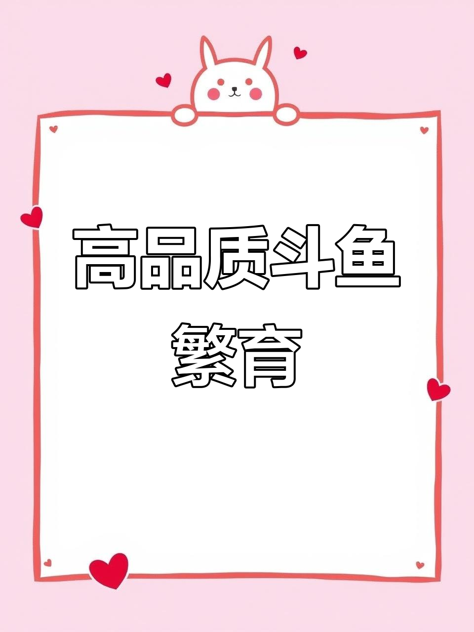 普叉斗鱼繁殖技术揭秘,高品质水族养殖技巧
