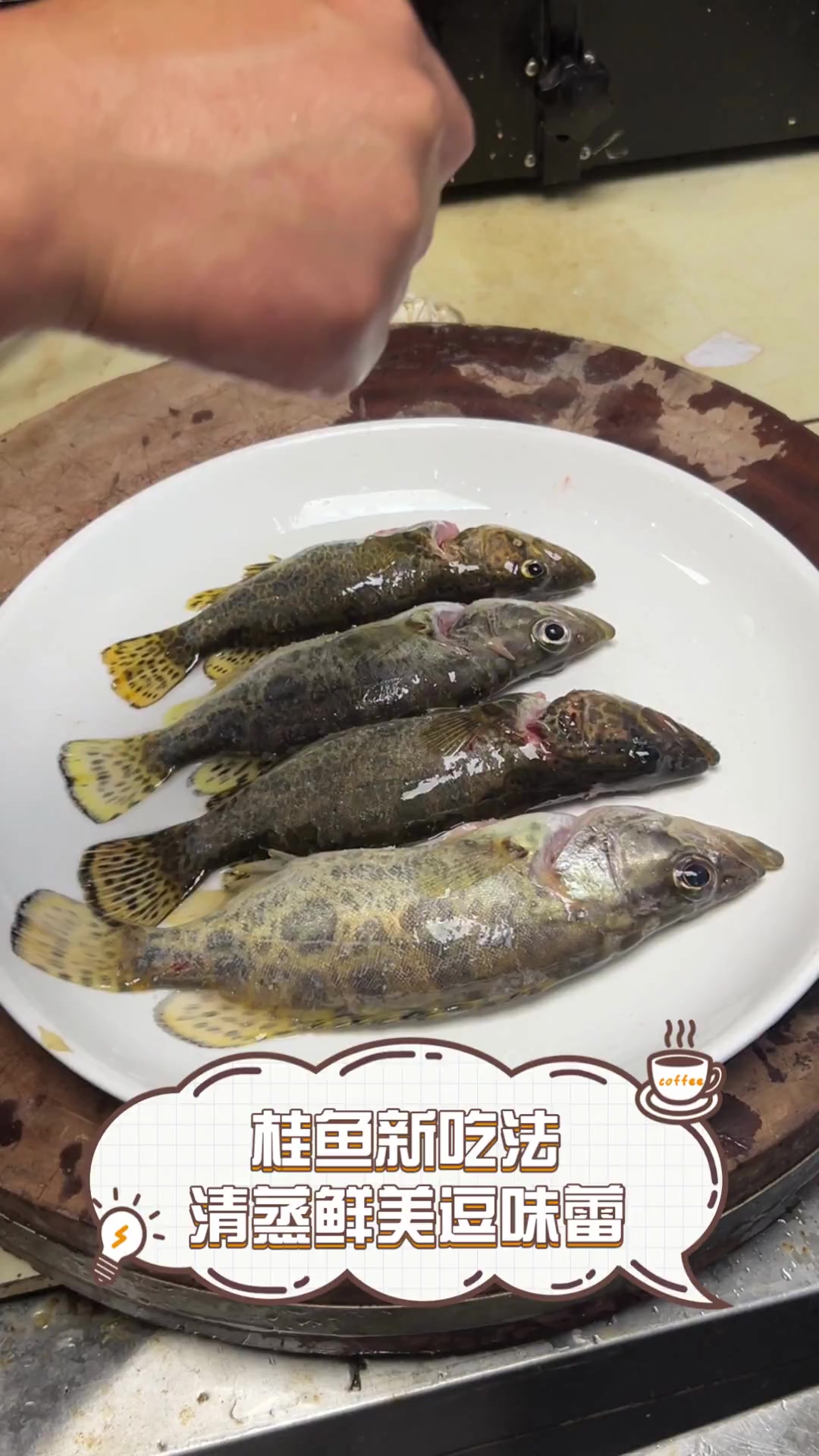 桂鱼新吃法,清蒸鲜美逗味蕾