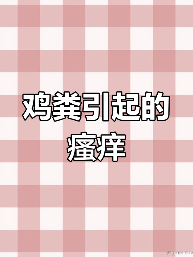 鸡粪与虱子引发的皮肤痒痛