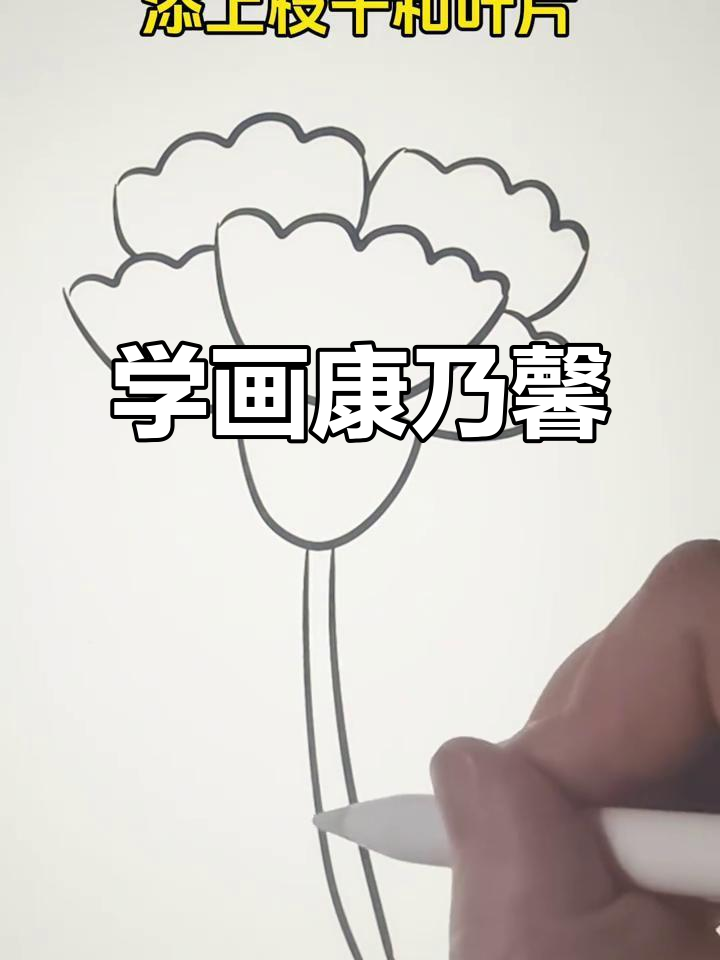 康乃馨简笔画教程,轻松学会画花朵