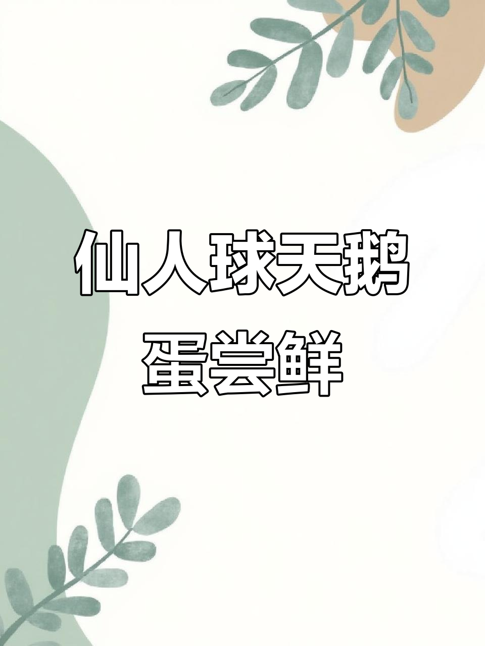 仙人球天鹅蛋:美味又奇特,你敢尝试吗?