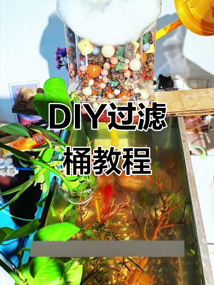 自制过滤桶，省钱又高效！打造生态鱼缸必备工具