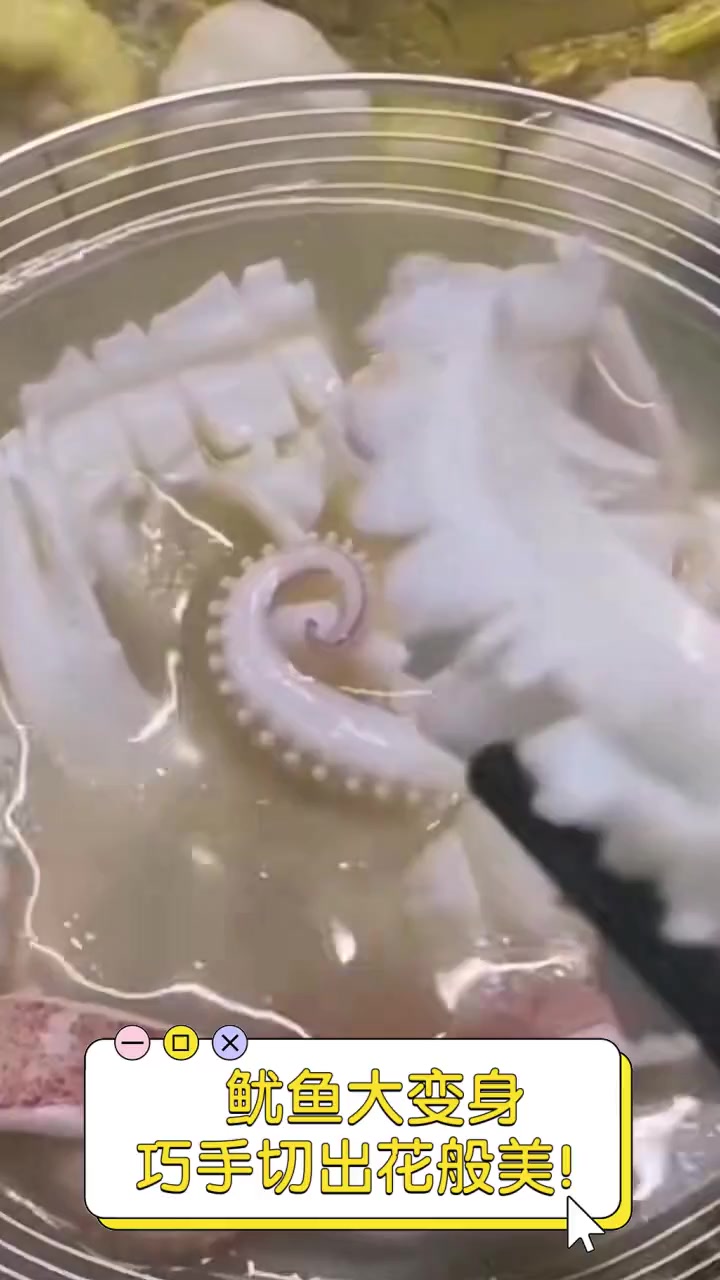 鱿鱼大变身,巧手切出花般美!