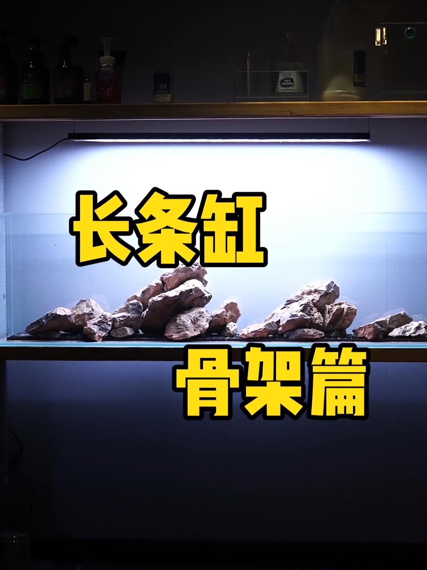 长条鱼缸造景记,骨架篇 水族 水草缸 沉木造景 你想要的水草缸教程!鱼缸里的大自然