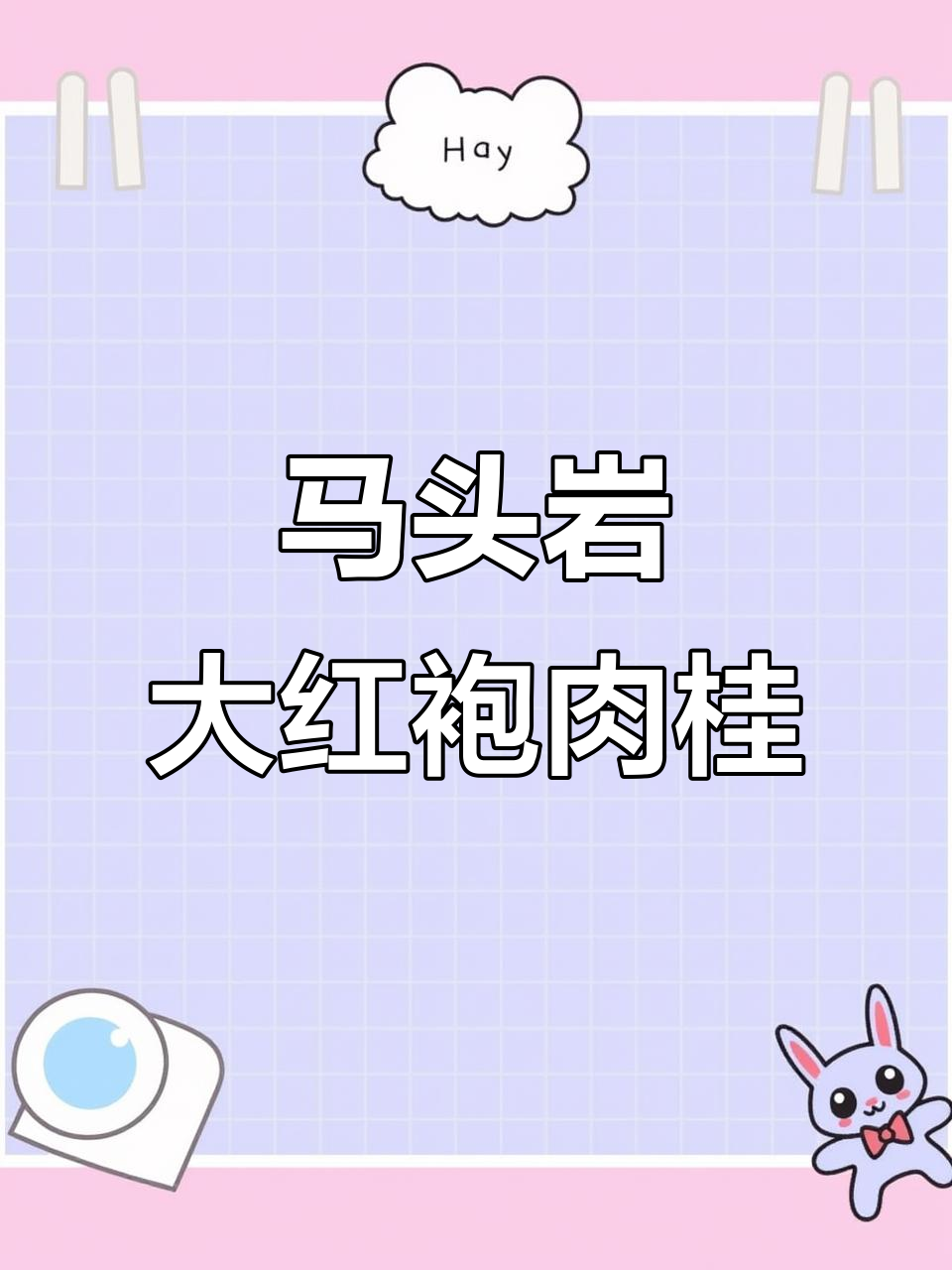 武夷山大红袍马头岩肉桂,香气四溢,果香满满,送礼佳选