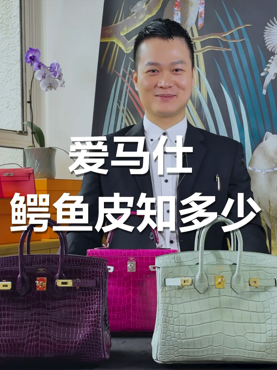 Jerry老师一秒教你辨识爱马仕鳄鱼皮!