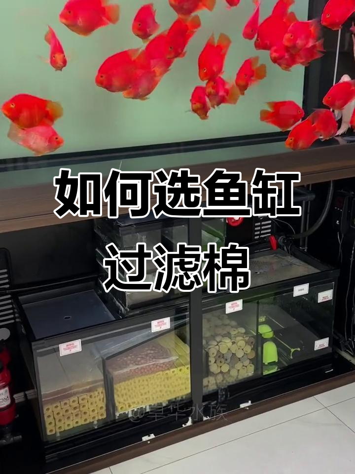 鱼缸过滤棉如何选择与摆放?粗细搭配效果更佳